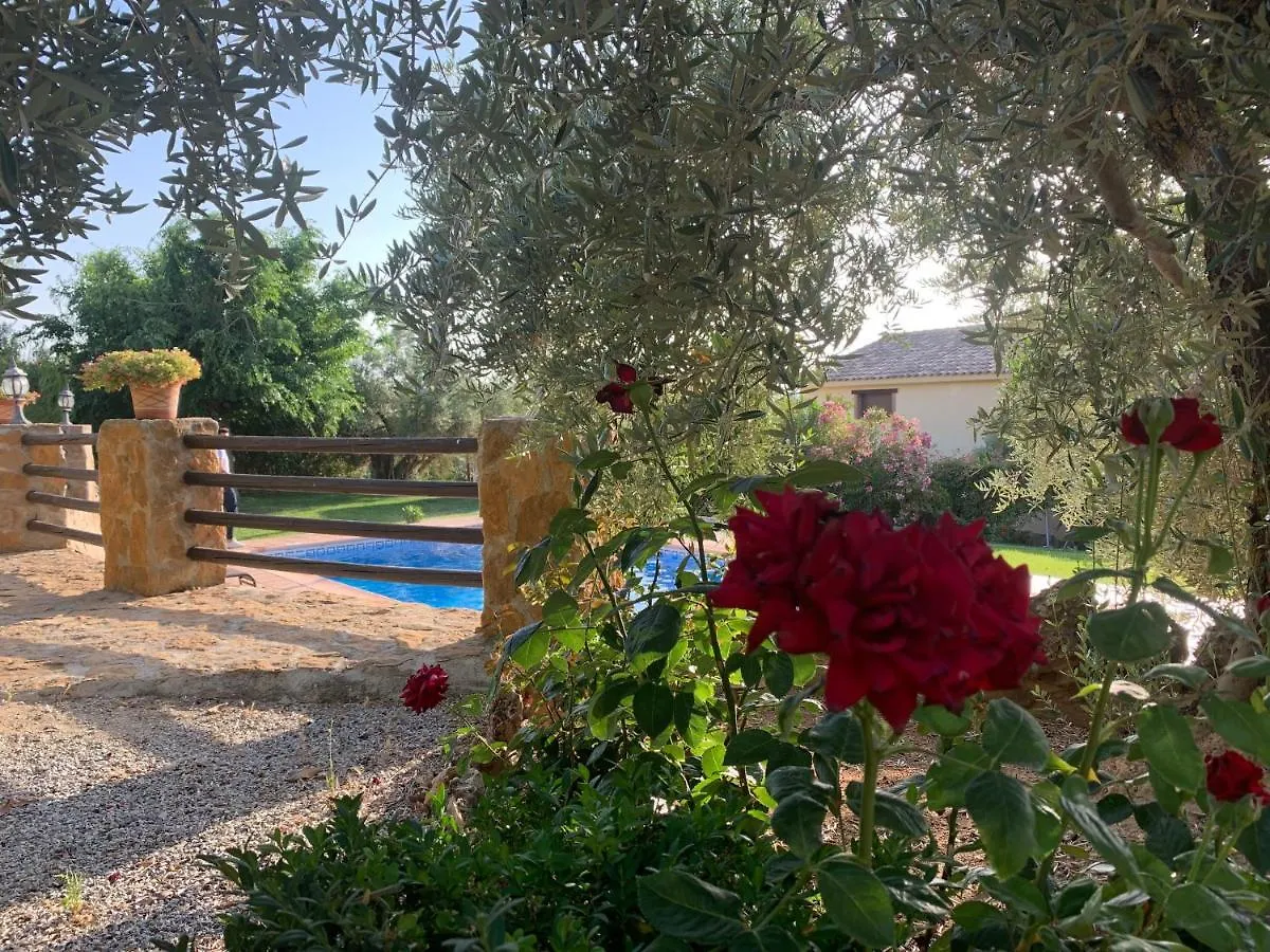 Country house Casas Rurales Cazorla-Alcon Pozo Alcon